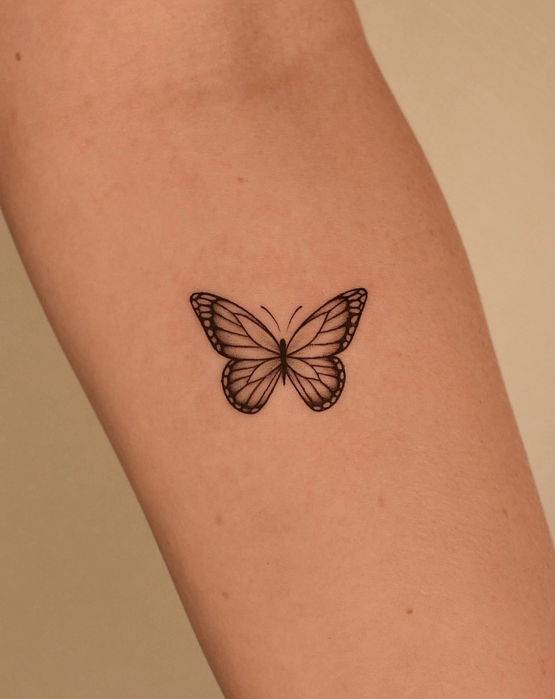hình xăm bướm mềm mại