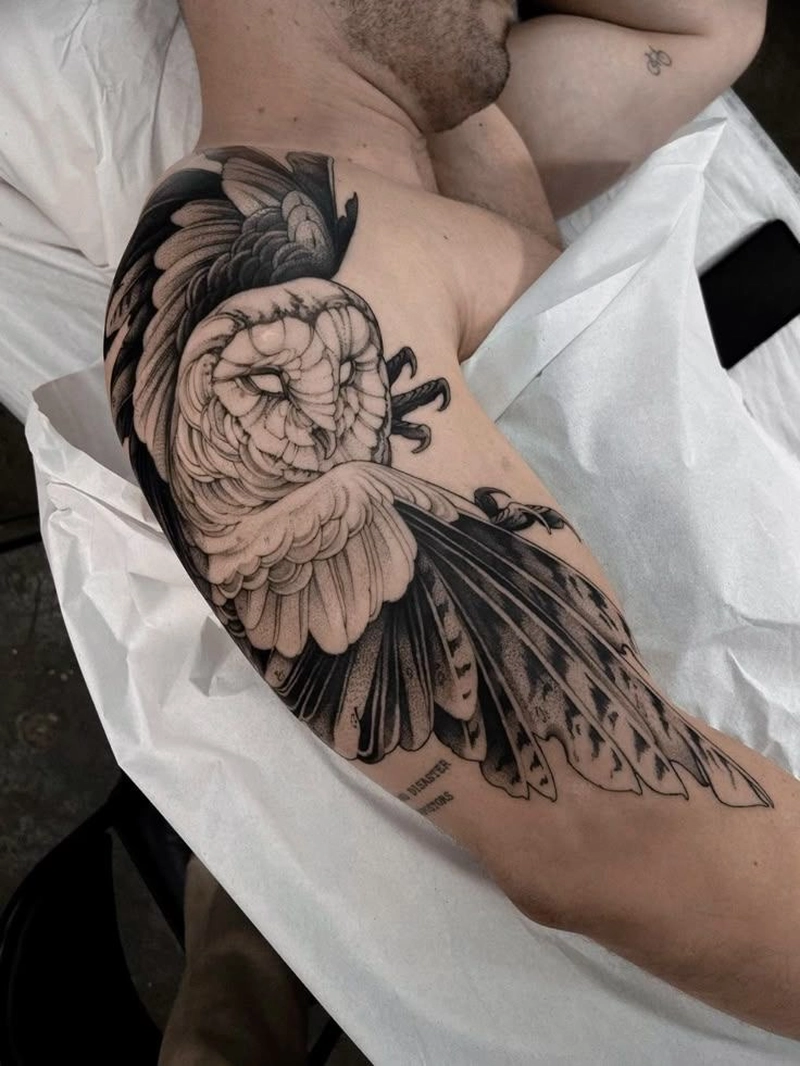 hình xăm cú mèo ở bắp tay hình xăm cú mèo ở bắp tay
