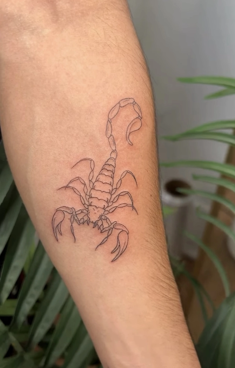 hình xăm cung hoàng đạo nhẹ nhàng và thanh lịch hình xăm cung hoàng đạo nhẹ nhàng và thanh lịch