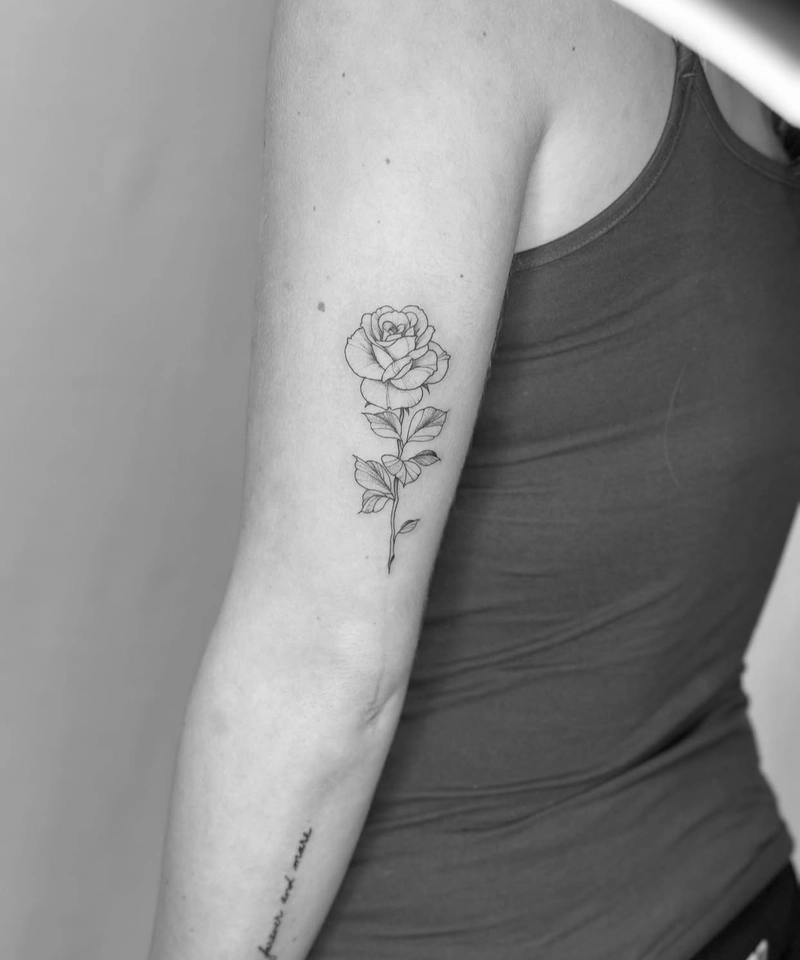 hình xăm hoa hồng cổ điển hình xăm hoa hồng cổ điển