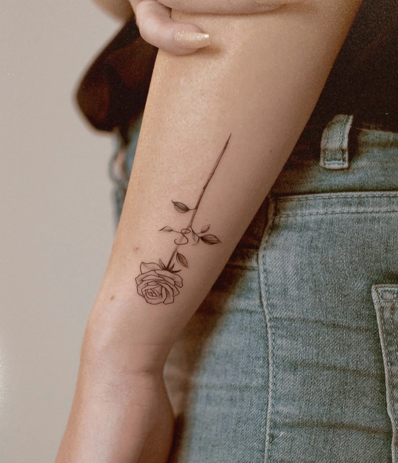 hình xăm hoa hồng dịu dàng hình xăm hoa hồng dịu dàng