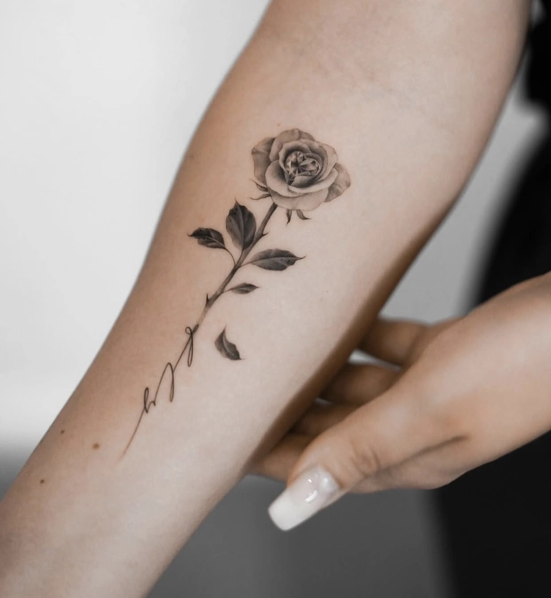 hình xăm hoa hồng đơn giản hình xăm hoa hồng đơn giản