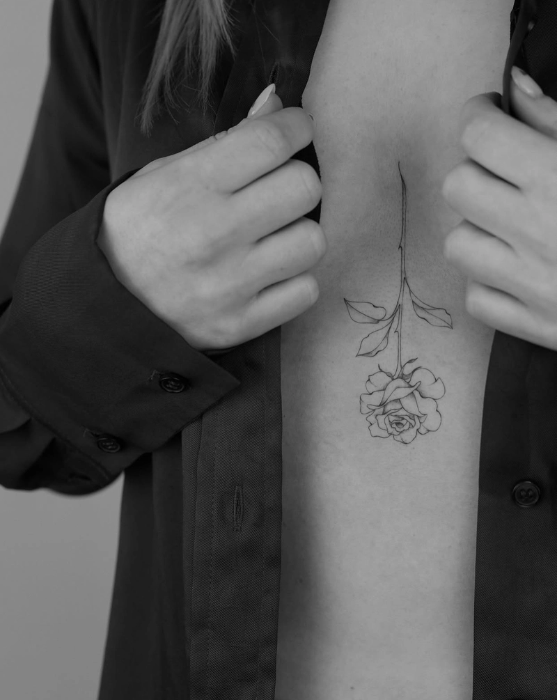 hình xăm hoa hồng hiện đại hình xăm hoa hồng hiện đại
