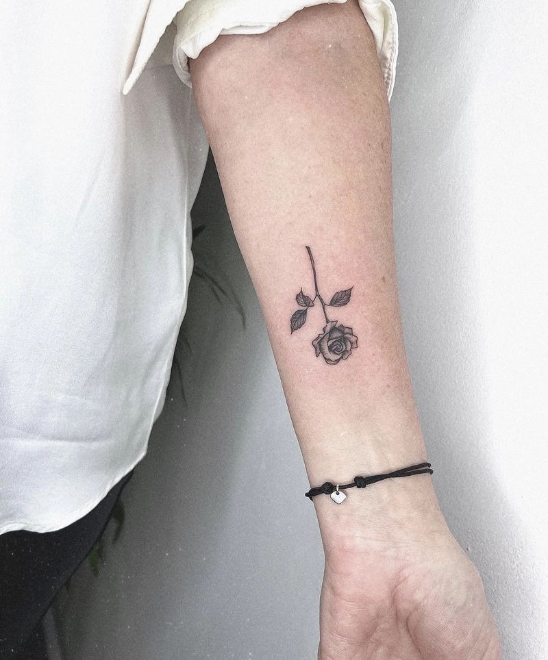 hình xăm hoa hồng lãng mạn hình xăm hoa hồng lãng mạn