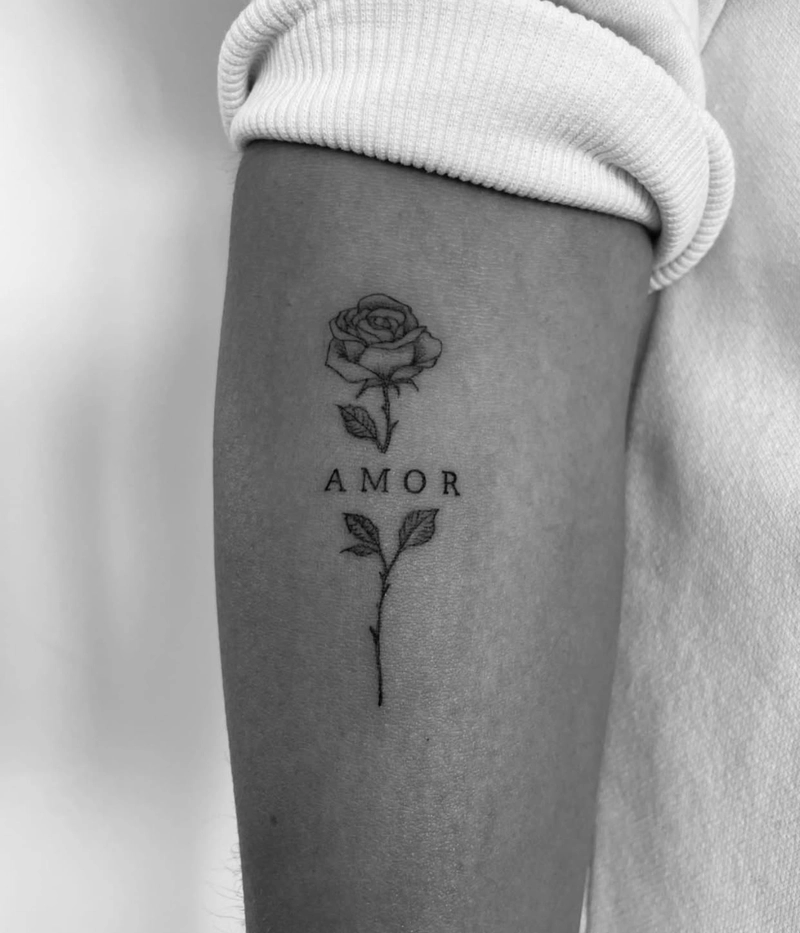 hình xăm hoa hồng mềm mại hình xăm hoa hồng mềm mại