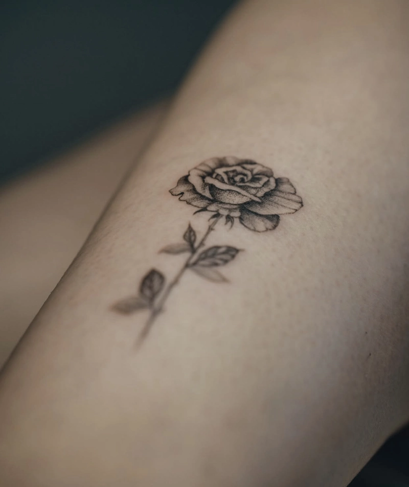 hình xăm hoa hồng nhỏ xinh hình xăm hoa hồng nhỏ xinh