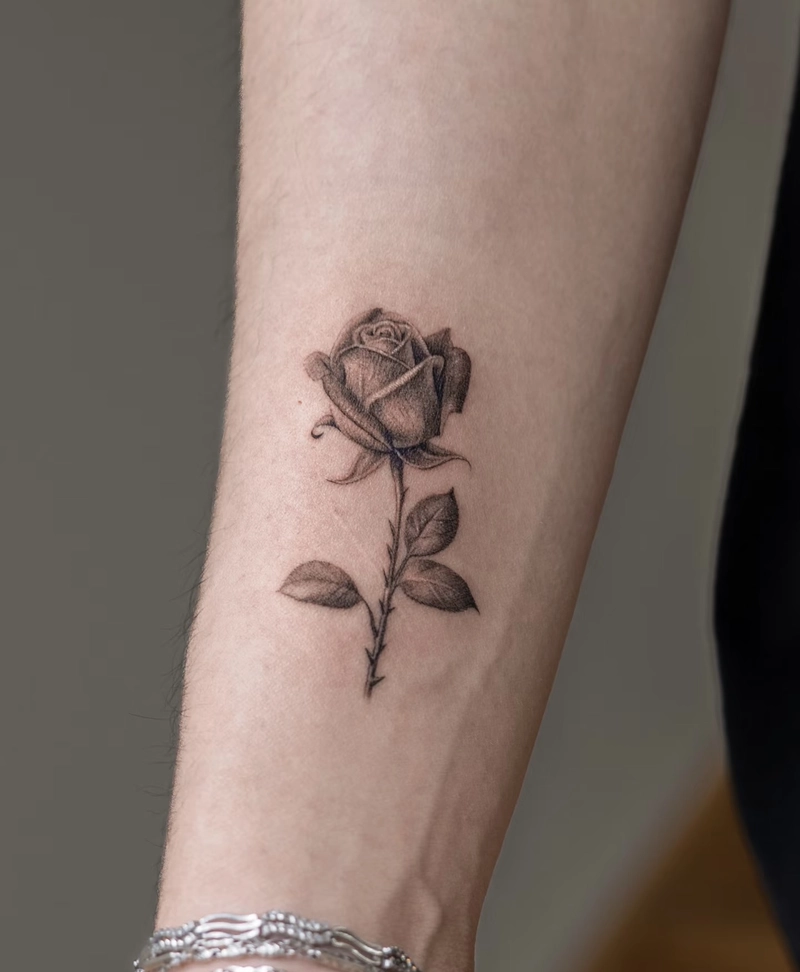 hình xăm hoa hồng thời thượng hình xăm hoa hồng thời thượng