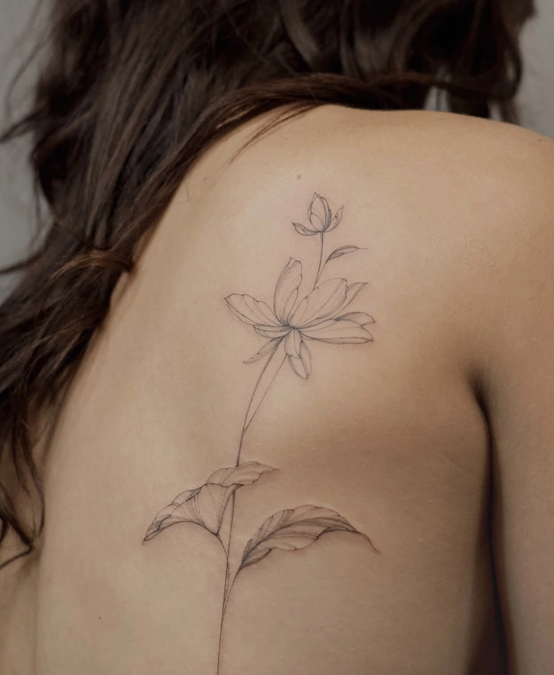 hình xăm hoa sen dịu dàng