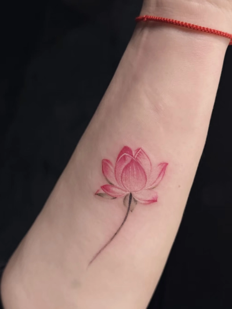 hình xăm hoa sen nhẹ nhàng quyến rũ