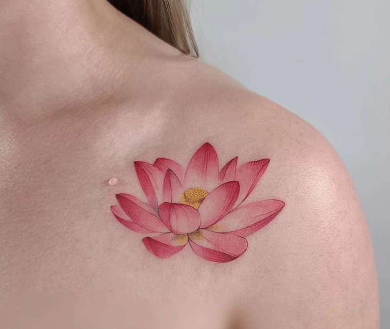 hình xăm hoa sen quyến rũ