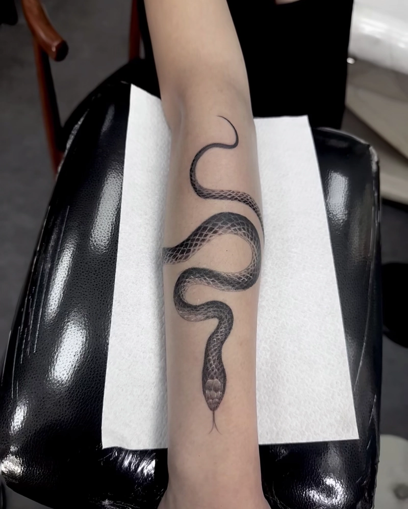 hình xăm rắn phong thủy giúp hóa giải tai ương và vận hạn