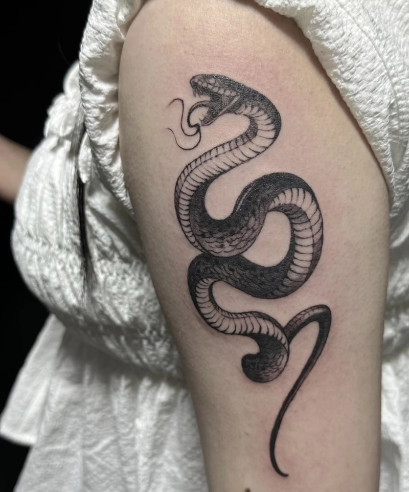 hình xăm rắn phong thủy thể hiện khả năng vượt qua khó khăn