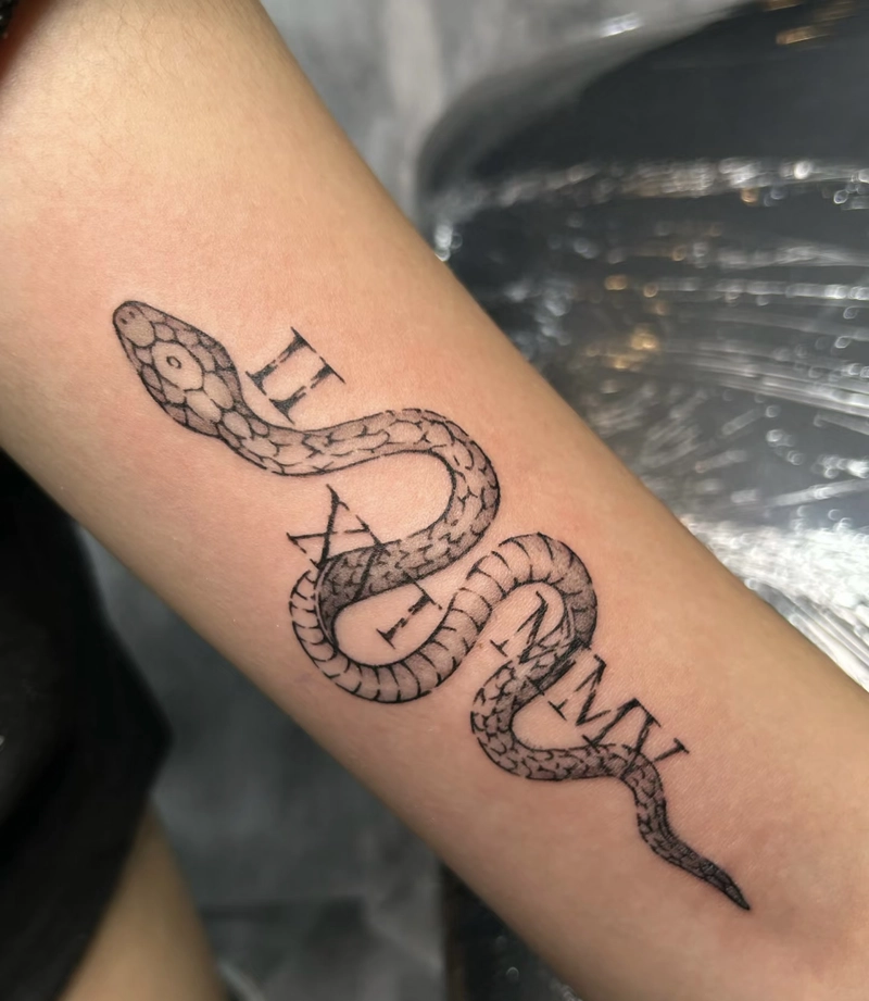 hình xăm rắn phong thủy thể hiện trí tuệ và khả năng nhìn xa trông rộng