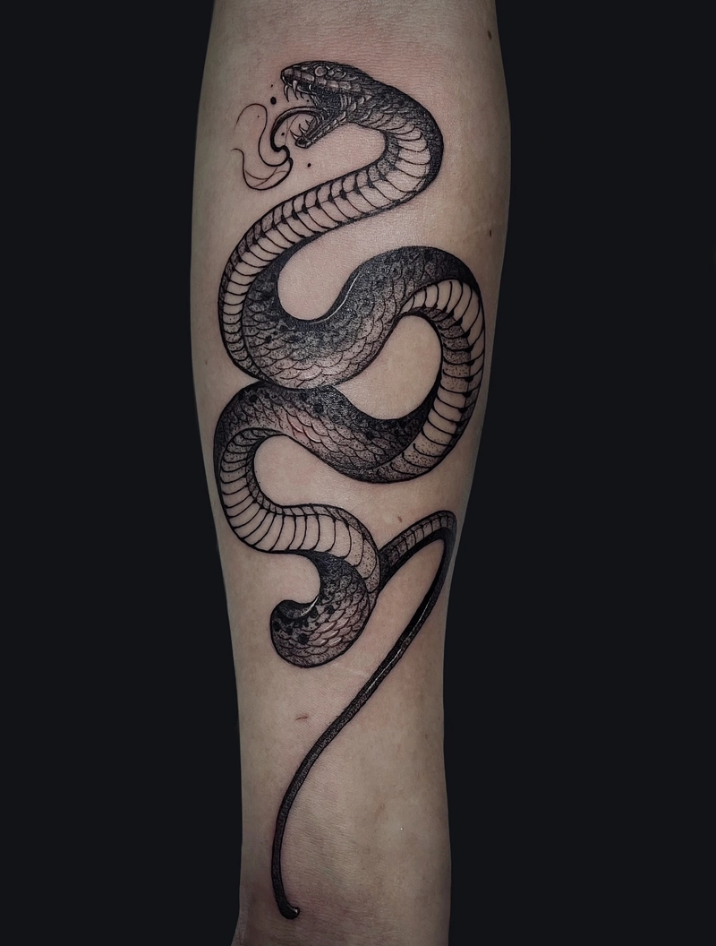 hình xăm rắn phong thủy tượng trưng cho khả năng nắm bắt cơ hội