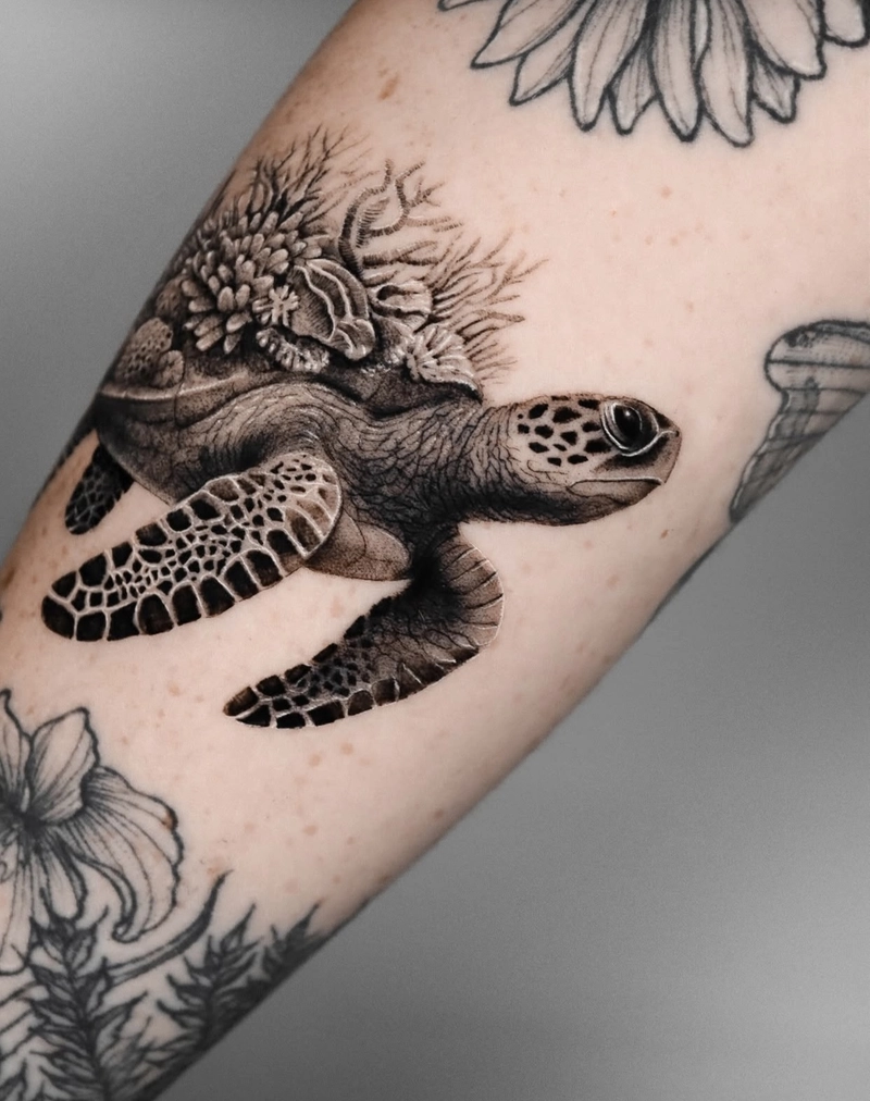 hình xăm rùa phong thủy biểu trưng cho sự kiên trì