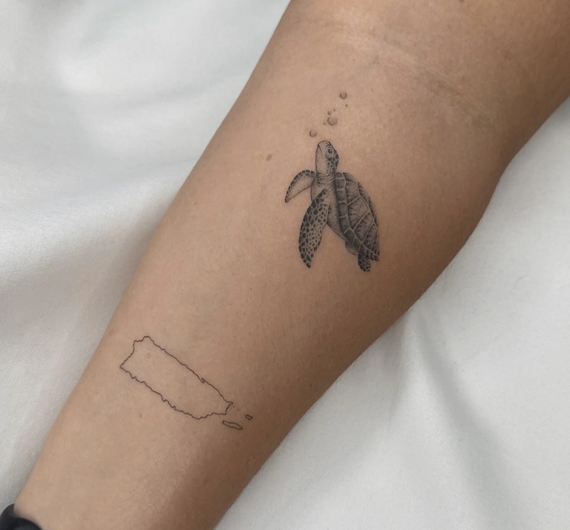 hình xăm rùa phong thủy đem lại may mắn và phúc khí