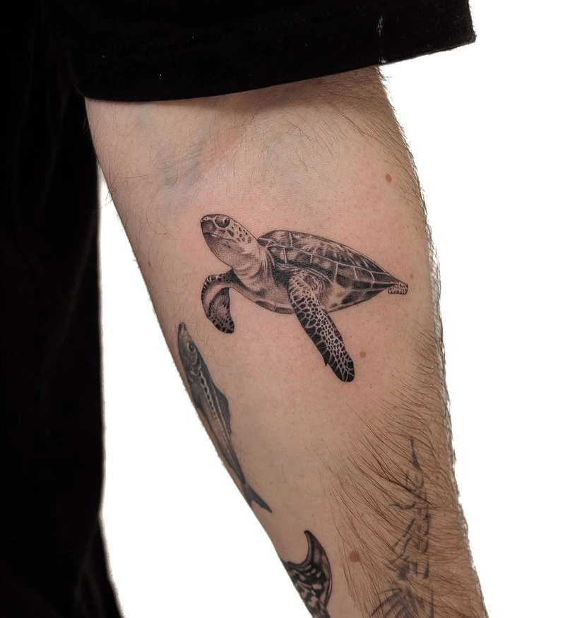 hình xăm rùa phong thủy giúp tránh xa tai ương