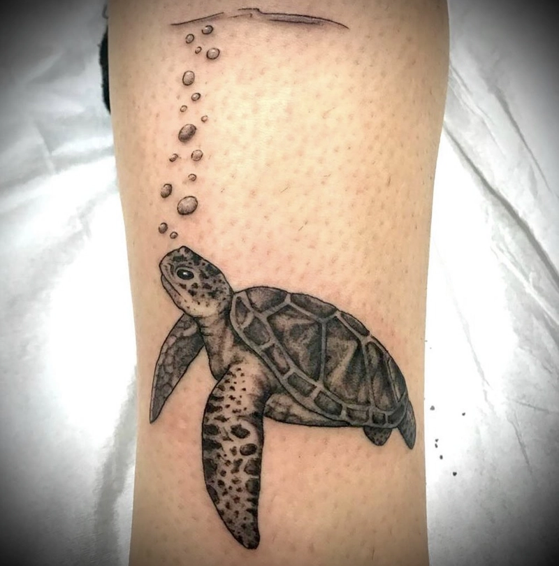 hình xăm rùa phong thủy mang biểu tượng của sự chậm mà chắc