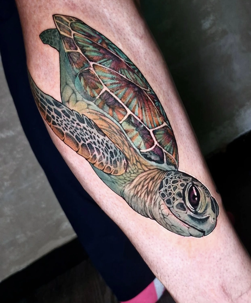 hình xăm rùa phong thủy mang lại niềm tin và hy vọng