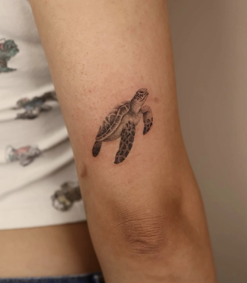 hình xăm rùa phong thủy mang lại sự hòa hợp và cân đối