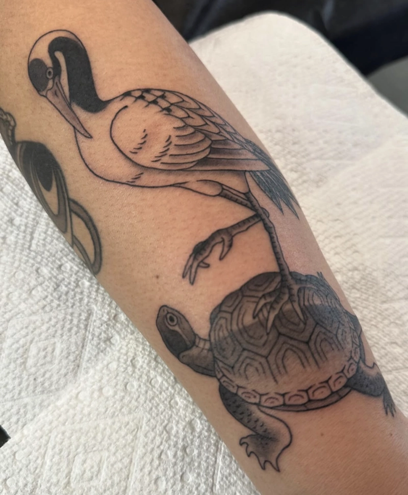 hình xăm rùa phong thủy mang vẻ đẹp cổ xưa và linh thiêng