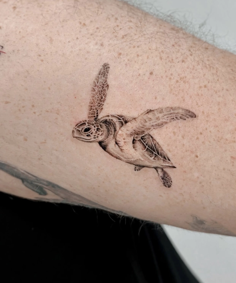 hình xăm rùa phong thủy thể hiện tinh thần kiên cường