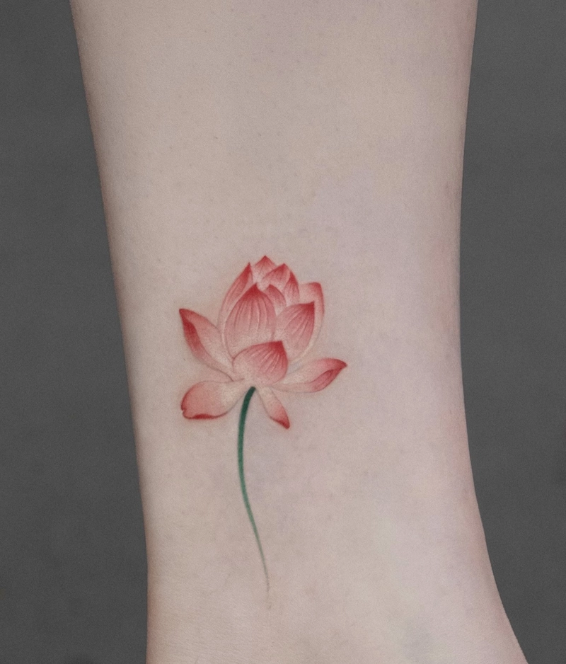 hình xăm sen phong thủy mang ý nghĩa tâm linh sâu sắc