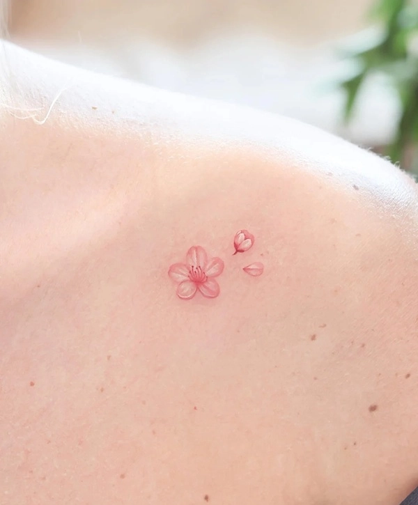 Hình xăm hoa anh đào Nhật Bản dành cho nữ