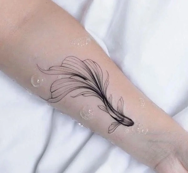 Tattoo cá chép mini nhẹ nhàng