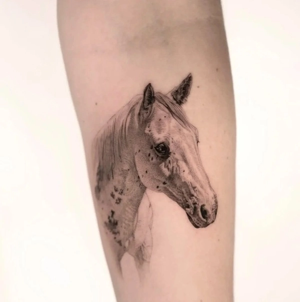 Tattoo chiến mã nam mang vẻ đẹp oai phong