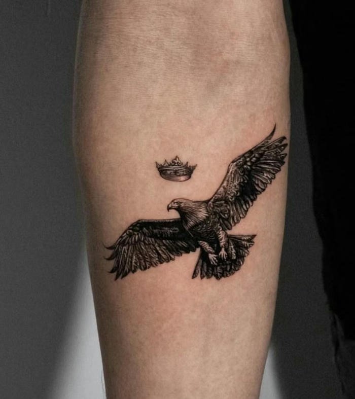 ảnh hình xăm đại bàng nam ấn tượng ảnh hình xăm đại bàng nam ấn tượng