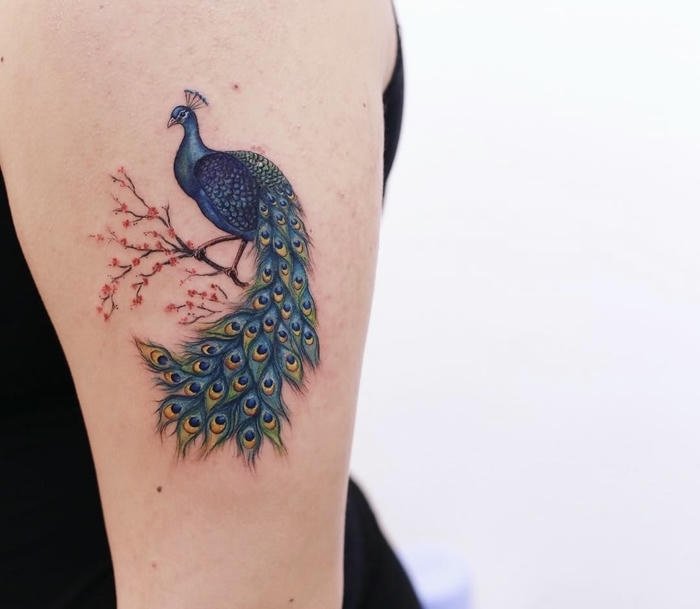 hình ảnh xăm chim công tinh tế và thanh lịch hình ảnh xăm chim công tinh tế và thanh lịch