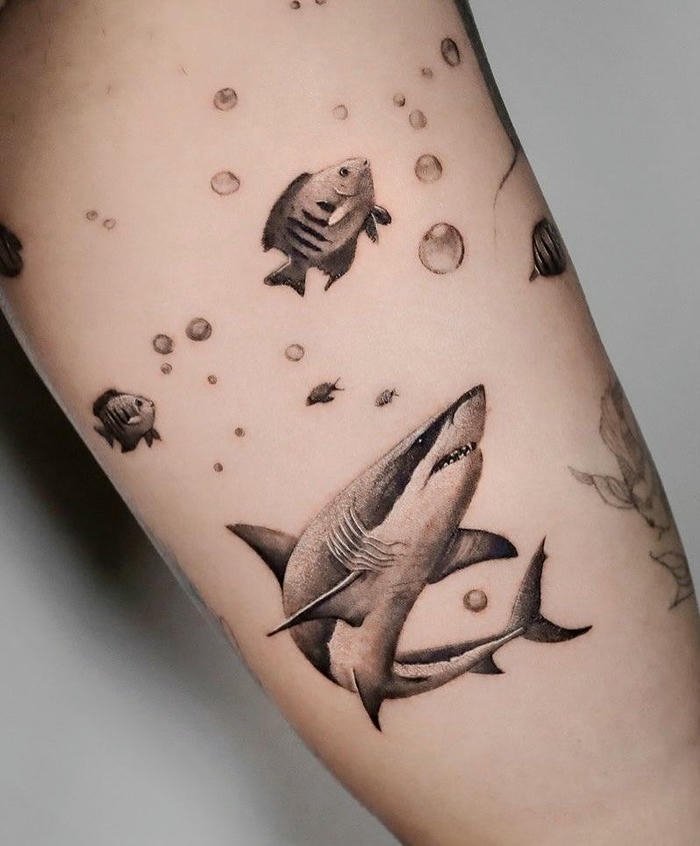 hình xăm cá mập đẹp ở bắp tay nam