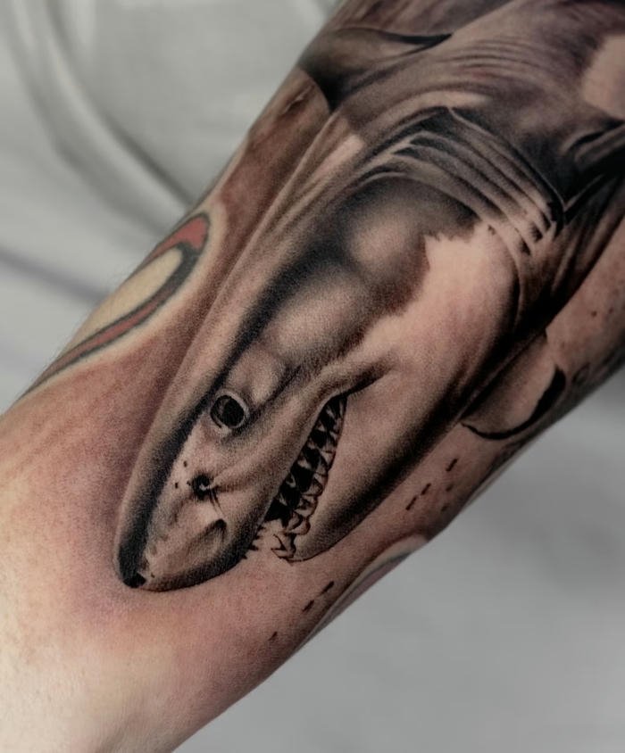 hình xăm cá mập mini nam