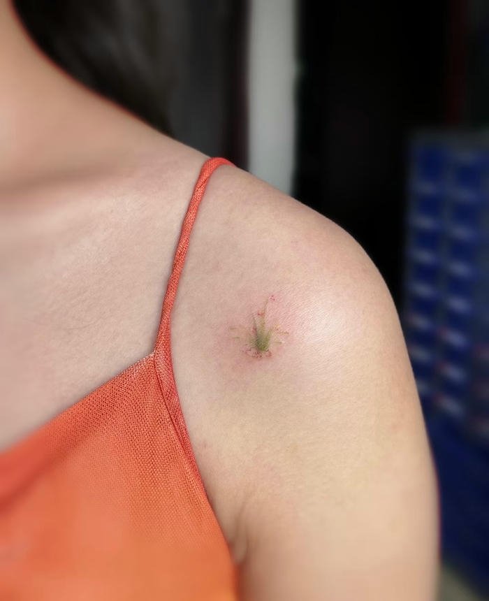 hình xăm cây cỏ mini nữ