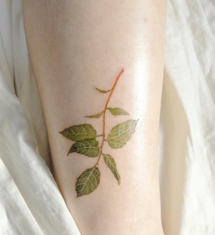 hình xăm lá cây nhỏ