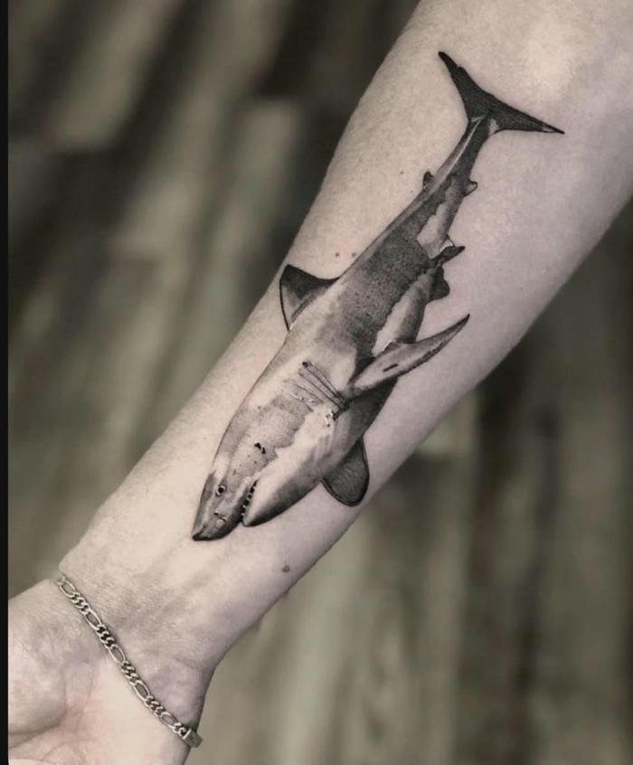 mẫu hình xăm cá mập mini phong cách nam
