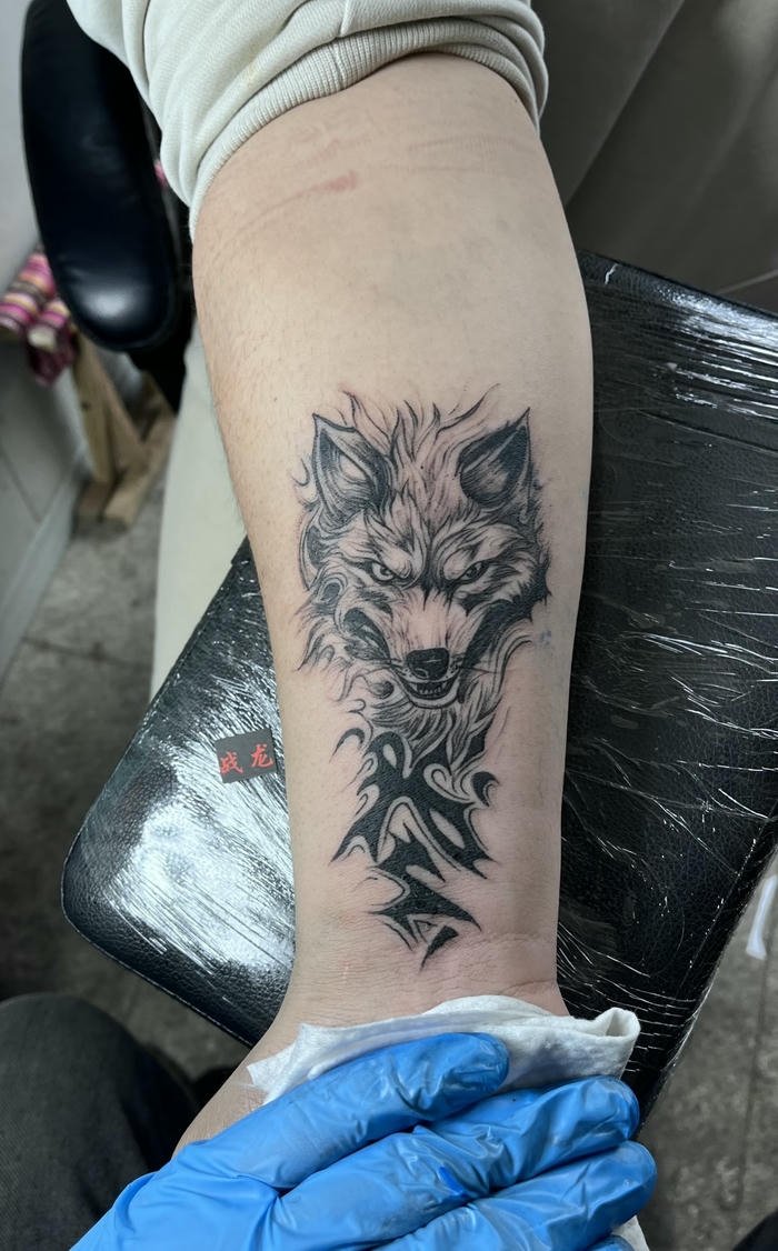 mẫu hình xăm sói nam sáng tạo mẫu hình xăm sói nam sáng tạo