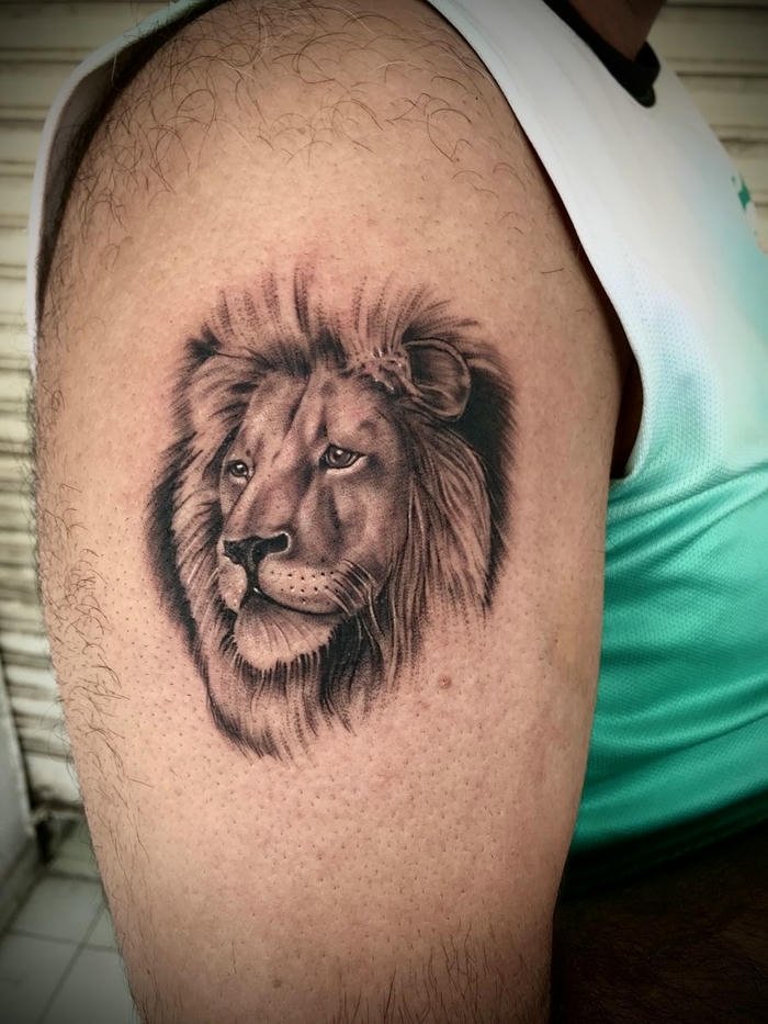 mẫu hình xăm sư tử nam phá cách mẫu hình xăm sư tử nam phá cách