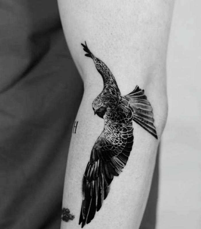 tattoo đại bàng nam phong cách hiện đại tattoo đại bàng nam phong cách hiện đại