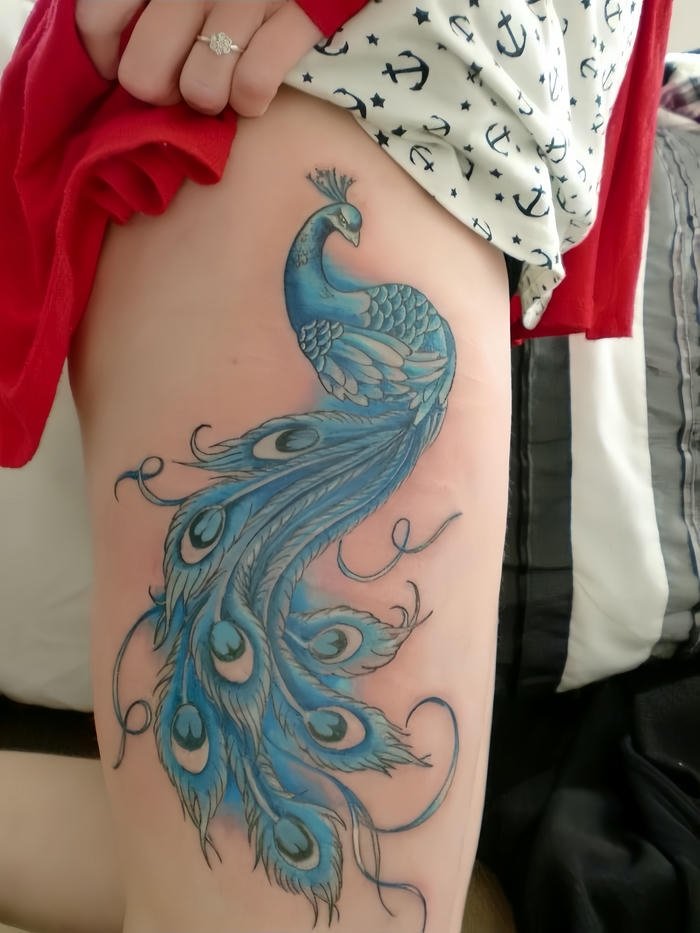 xăm hình chim công đẹp cho nữ xăm hình chim công đẹp cho nữ